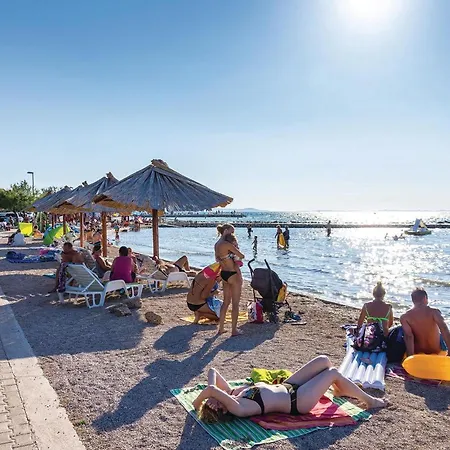 Pet Friendly In Ferienhaus *