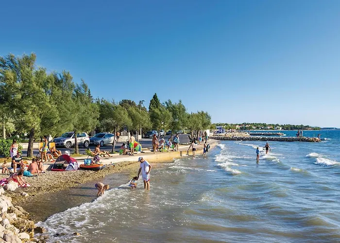 Pet Friendly In בית נופש