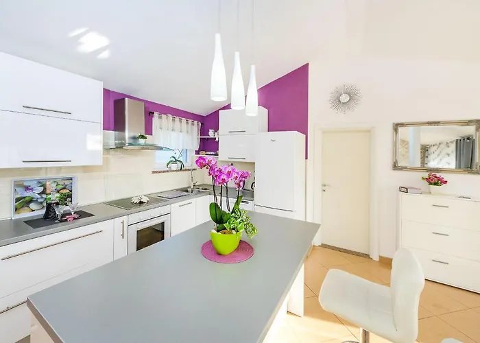Pet Friendly In Zaton (Zadar)