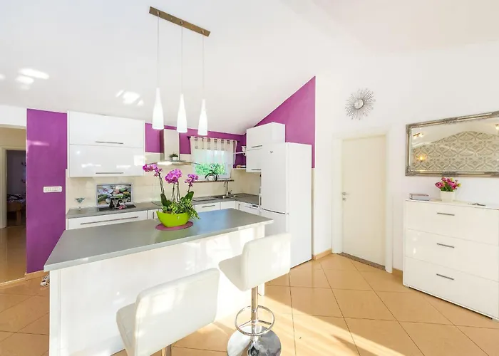 Pet Friendly In Casa de Férias Zaton (Zadar)