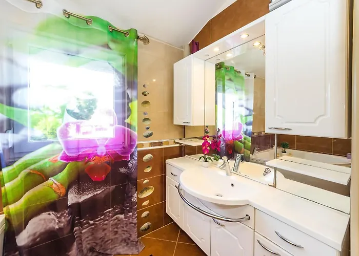 Pet Friendly In Casa de Férias Zaton (Zadar)