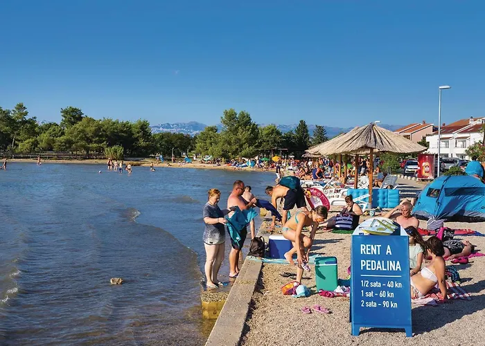 Pet Friendly In Zaton (Zadar)
